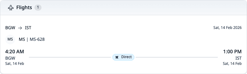 Flights section showing flight details